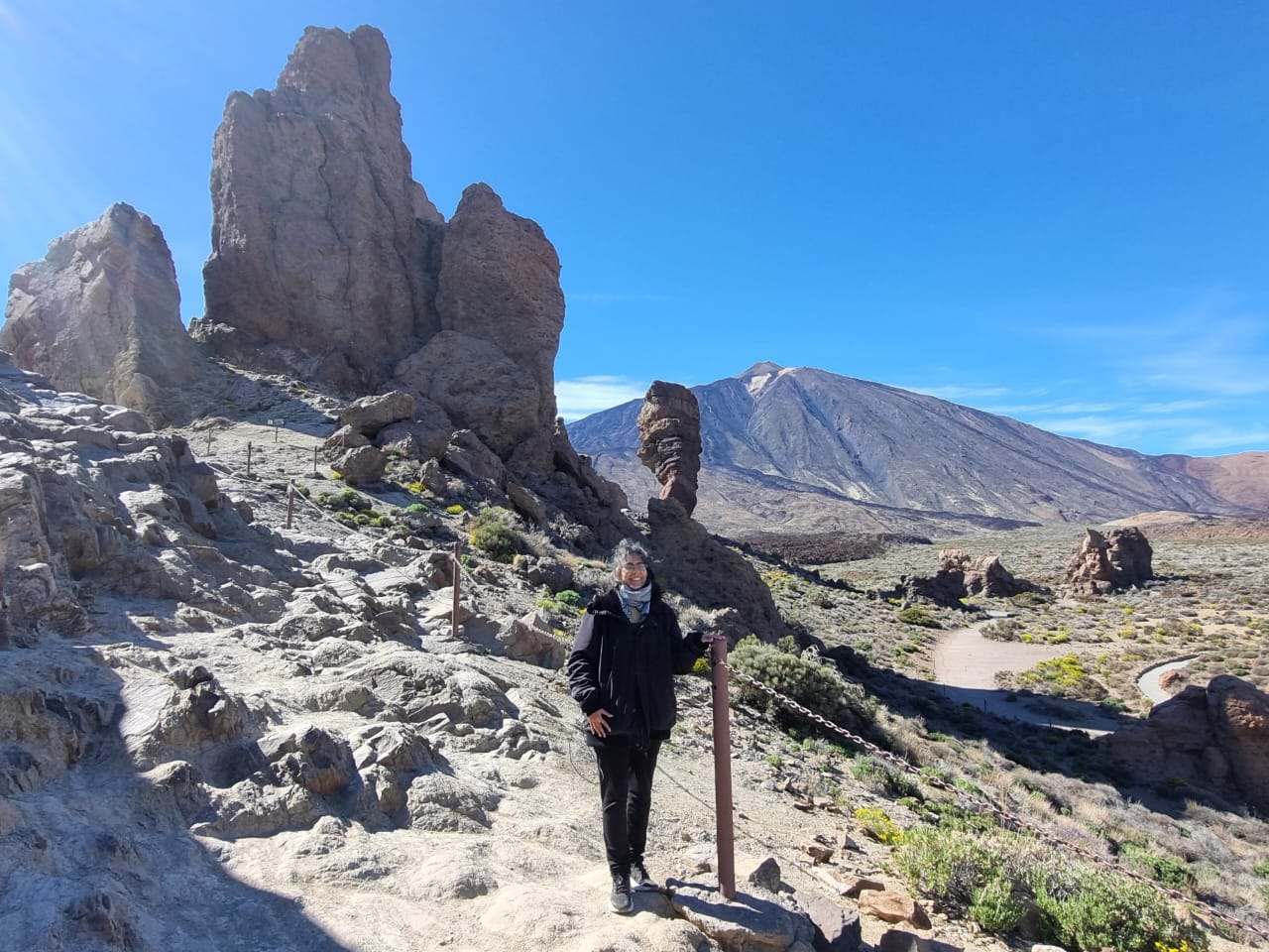 Cardenas_2026